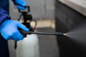 Penyemprotan hama menggunakan alat sprayer oleh teknisi pest control profesional.